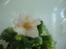 DSC04908