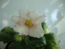 DSC04909