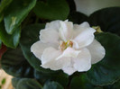 DSC04929