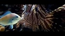 Oceans Bloopers - Joe Jonas and Demi Lovato 0515