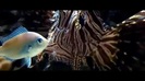 Oceans Bloopers - Joe Jonas and Demi Lovato 0516