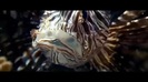 Oceans Bloopers - Joe Jonas and Demi Lovato 0519