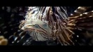 Oceans Bloopers - Joe Jonas and Demi Lovato 0520