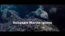 Oceans Bloopers - Joe Jonas and Demi Lovato 0584