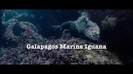 Oceans Bloopers - Joe Jonas and Demi Lovato 0586
