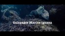 Oceans Bloopers - Joe Jonas and Demi Lovato 0588