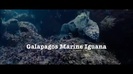 Oceans Bloopers - Joe Jonas and Demi Lovato 0589