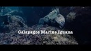Oceans Bloopers - Joe Jonas and Demi Lovato 0596