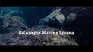 Oceans Bloopers - Joe Jonas and Demi Lovato 0600