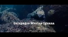 Oceans Bloopers - Joe Jonas and Demi Lovato 0604