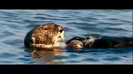 Oceans Bloopers - Joe Jonas and Demi Lovato 0629