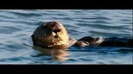 Oceans Bloopers - Joe Jonas and Demi Lovato 0634