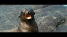 Oceans Bloopers - Joe Jonas and Demi Lovato 0785