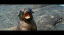 Oceans Bloopers - Joe Jonas and Demi Lovato 0787
