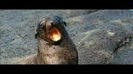 Oceans Bloopers - Joe Jonas and Demi Lovato 0797