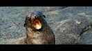 Oceans Bloopers - Joe Jonas and Demi Lovato 0801