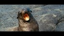 Oceans Bloopers - Joe Jonas and Demi Lovato 0803