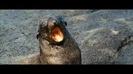 Oceans Bloopers - Joe Jonas and Demi Lovato 0805