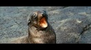 Oceans Bloopers - Joe Jonas and Demi Lovato 0809