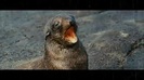 Oceans Bloopers - Joe Jonas and Demi Lovato 0812