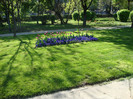 DSC04889