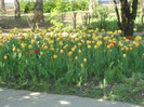 DSC04892