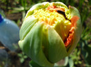 P1000494