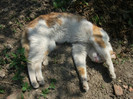Picture 035