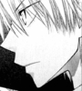 usui 13