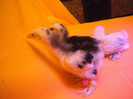 DSCN0863