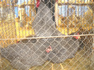 Picture 030