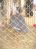 Picture 031