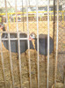 Picture 033