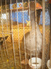 Picture 036