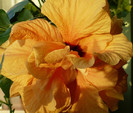P1380923