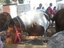 Picture 075