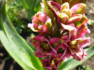 P1000503