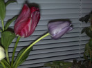 03052012