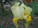 DSCN2879