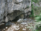 Picture 220