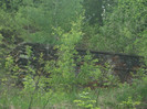 Picture 236