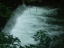 Picture 251
