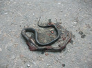 Picture 327