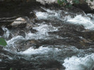 Picture 335