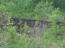 Picture 338