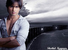 shahid-kapoor