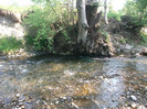 Picture 065