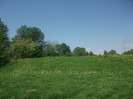 Picture 123