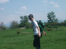Picture 154