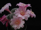 DSC09755